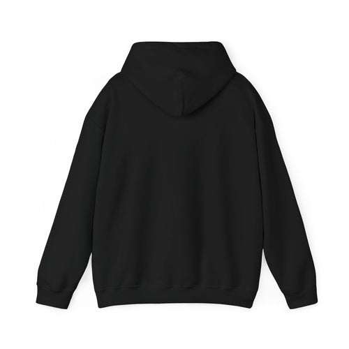 AALIYAH HEAVYWEIGHT HOODIE (BLACK)